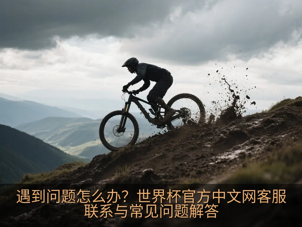 遇到问题怎么办？世界杯官方中文网客服联系与常见问题解答